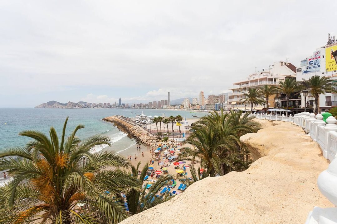 Old town viewpoint with palms over the marina, Benidorm